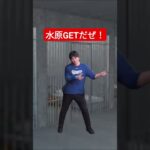 水原一平GETだぜ！ #shorts  #ポケモン  #pokemon  #大谷翔平 #shoheiohtani #水原一平 #pokedance