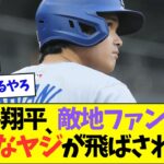 【悲報】大谷翔平、敵地のファンからとんでもないヤジを浴びせられてしまう・・・【なんJなんG反応】【2ch5ch】