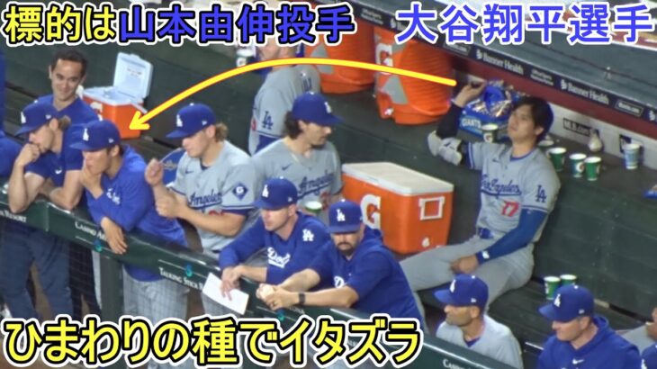 山本由伸投手にひまわりの種でイタズラ【大谷翔平選手】～シリーズ２戦目～Shohei Ohtani vs DBucks 2024