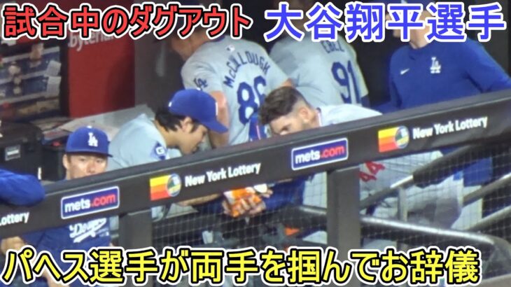 試合中のダグアウト～パヘス選手は両手を掴んで日本のお辞儀～【大谷翔平選手】対ニューヨーク・メッツ～シリーズ２戦目～Shohei Ohtani vs Mets 2024