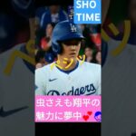 💕👨大谷翔平の魅力に虫さえも夢中に💕‼️⚾✴👼✨🐝#ShoheiOhtani👼#Shorts🐶