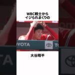 WBC選手たちからイジられまくる大谷翔平についての雑学