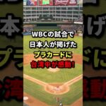 WBC日本対台湾の試合中に掲げられたプラカードに台湾中が涙した理由 #海外の反応 #日本 #shorts #台湾 #感動する話