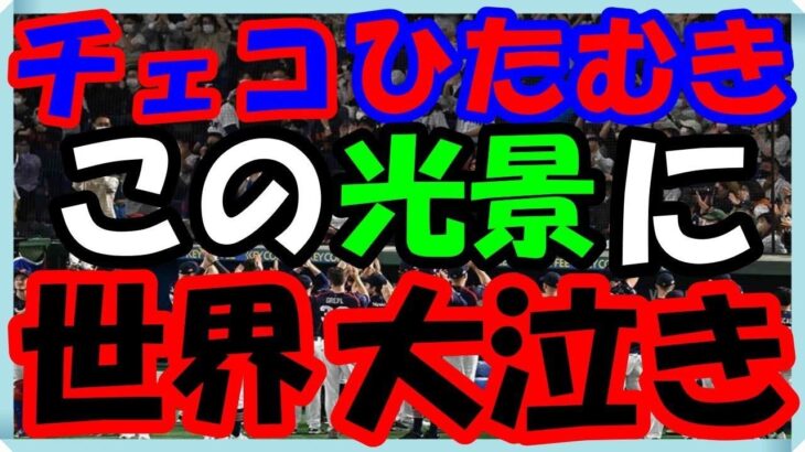 海外の反応 WBC・侍ジャパン!!大泣き!!日本に敬意を持って挑んだチェコのひたむきな勇姿と大谷選手がチェコに示した最大限の敬意に世界が涙した意外な訳とは？海外の反応ch ステキな日本