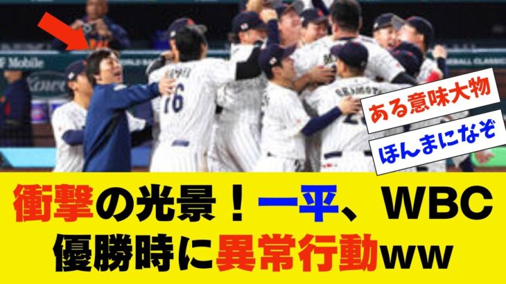 一平のWBC優勝時の異常行動に日本中が驚愕ww