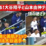 山本に美肌チェックされる大谷選手😅大谷翔平と山本由伸ダッグアウト❗️大谷翔平#大谷翔平現地映像 #大谷翔平速報#ohtanishohei#