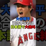 大谷翔平が試合中なのに日本語で大絶叫。#大谷翔平 #田中真美子 #芸能人