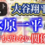 【タロット占い】なぜ？大谷翔平選手と水原一平元通訳の関係性は終わらない….？水原元通訳の心境、近未来なども含めて深掘りしていきます。