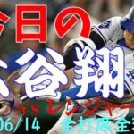 今日の大谷翔平 全打席全球動画 20240614vsレンジャーズ