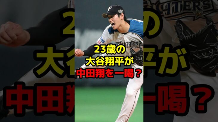 23歳の大谷翔平が中田翔を一喝？#shorts #野球 #野球ネタ #大谷翔平 #中田翔 #日本ハム #日本一