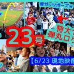 ⚾️大谷翔平 3戦連発＆7戦6発！特大23号弾丸ロケット弾でドジャスタが揺れるｗ【現地映像まとめ】（2024.6.23 Dodgers 7-2 Angels）