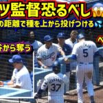 衝撃‼️大谷から種係を奪ったロバーツ監督がヤバイ😱ベッツ死球で骨折😢 【現地映像】6/16vsロイヤルズShoheiOhtani Dodgers