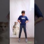 水原一平×猫ミーム かわいいダンス Cat meme GBあり【猫ミーム素材】