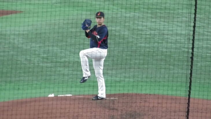 【WBC】大勢投手　投球練習　東京ドーム　侍ジャパン　日本対オーストラリア