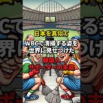 日本を真似てWBCで清掃する姿を世界に見せつけた韓国人サポーターの末路 #shorts #海外の反応 #韓国