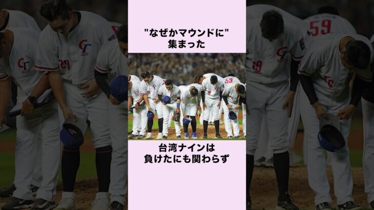 『台湾へ恩返しを』WBCの日本戦で起きた感動の出来事 #野球 #wbc #shorts #プロ野球