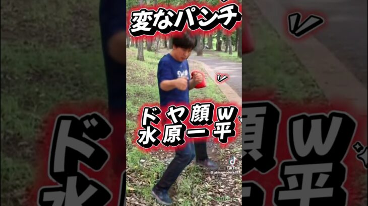 水原一平が変なパンチ打つ話題のチー牛シャドウボクサーに！