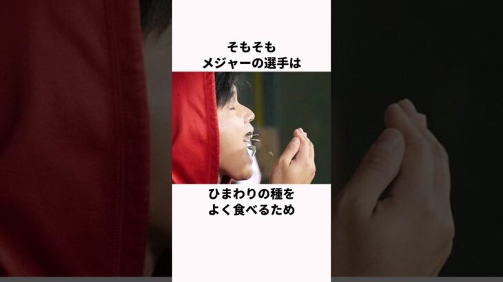 「なんて行儀が良いんだ」大谷翔平とひまわりの種に関する雑学 #野球 #野球解説 #大谷翔平