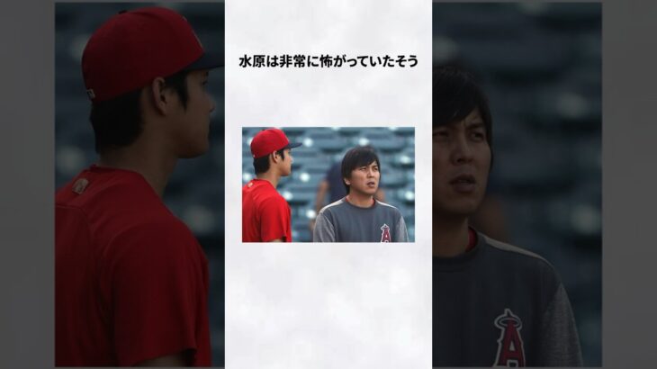 #水原一平 #大谷翔平 #エピソード #ドジャース #メジャーリーグ #雑学