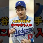 大谷翔平選手が念入りに行動し