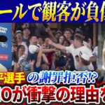 ホームランボールで観客が負傷、大谷翔平選手の謝罪拒否の衝撃の理由！ドジャースのCEOはアメリカのメディア全体を辱める発表！