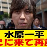 水原一平、ここに来て再評価されてしまう…【反応集】【野球反応集】【なんJ なんG野球反応】【2ch 5ch】