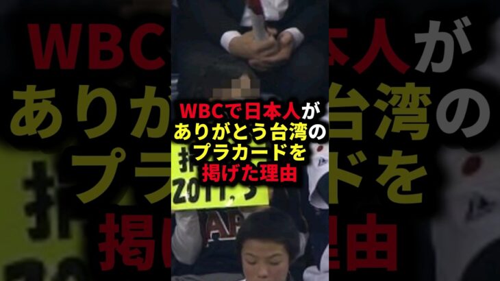 WBCで日本人がありがとう台湾のプラカードを掲げた理由 #野球#台湾#野球解説