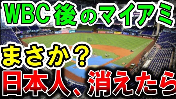 【海外の反応】紫綬褒章にWBC日本代表！なんと称賛を受けていたのは選手だけじゃなかった。米国人「こんなことありえない…」優勝直後の日本人サポーターたちの行動