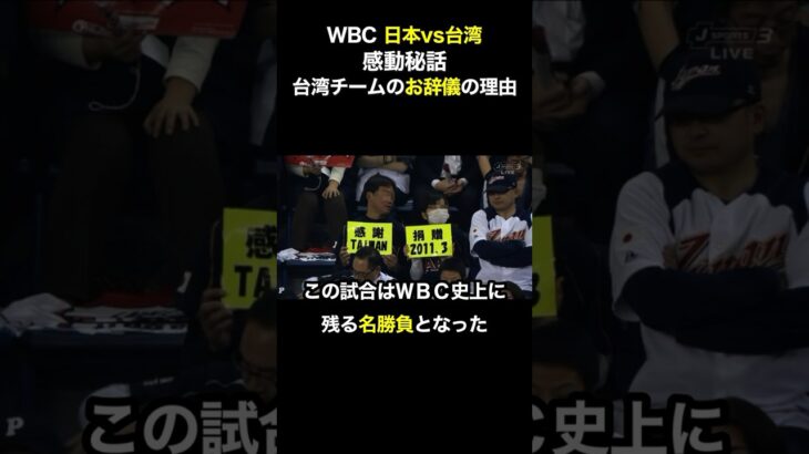 【感動実話】WBC 日本vs台湾戦で台湾チームが日本人に向けて一礼したあの話　#wbc #侍ジャパンジャパン #サムライジャパン #野球 #感動する話 #日本