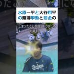 水原一平と大谷翔平の賭博挙動と罰金の真実 文章：水原一平と大谷翔平、… #shorts 441