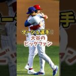 【大谷翔平】フィリーズのマーシュ選手：大谷のビッグファン！😍😍😍 #shorts #baseball #大谷翔平 #mlb