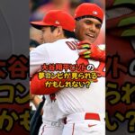 大谷翔平とソトの夢コンビが見られるかもしれない…