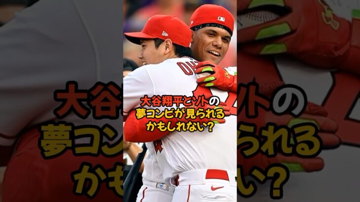 大谷翔平とソトの夢コンビが見られるかもしれない…