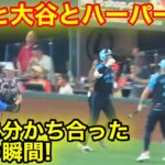 なんと大谷とハーパーが！分かち合った感動の瞬間！現地映像