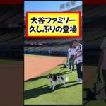 大谷翔平の”試合オフ日”が話題…移動の様子や真美子夫人とデコピン参加#大谷翔平 #真美子夫人 #デコピン最強