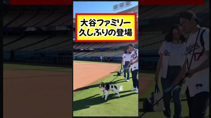 大谷翔平の”試合オフ日”が話題…移動の様子や真美子夫人とデコピン参加#大谷翔平 #真美子夫人 #デコピン最強