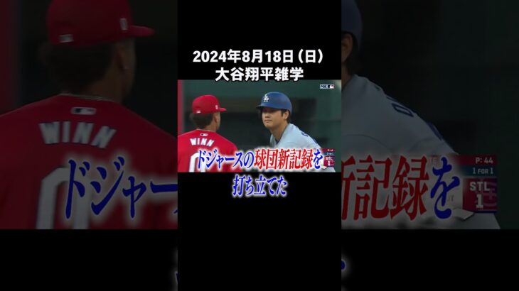 【2024/8/18】今日の大谷翔平雑学#大谷翔平 #雑学 #shorts #ホームラン #ShoheiOhtani #三冠王 #38号 #真美子夫人 #MLB #メジャー #MVP