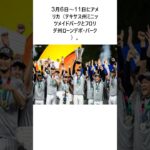 2026年WBCの日程と組み合わせ発表!侍ジャパンはプールCで韓国らと同組 連覇へ日本は3月6日に初戦 に関する面白い雑学 #雑学 #お笑い #芸人 #千鳥 #大悟