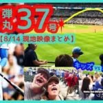 ⚾️大谷翔平 2試合連続176キロ弾丸37号ホームランで敵地が揺れるｗ【現地映像まとめ】（2024.8.14 Dodgers 7-2 Brewers 敵地ミルウォーキー）