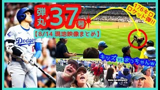 ⚾️大谷翔平 2試合連続176キロ弾丸37号ホームランで敵地が揺れるｗ【現地映像まとめ】（2024.8.14 Dodgers 7-2 Brewers 敵地ミルウォーキー）