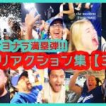 ⚾️大谷翔平 40号サヨナラ満塁弾で40-40達成【厳選！ファン絶叫リアクション集31】Yonekura厳選ｗ