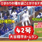 ㊗️大谷翔平42号❗️ダッグアウトあぜん😲打球を眺めるオリオールズの選手達#大谷翔平現地映像 #大谷翔平速報#ohtanishohei#ドジャース