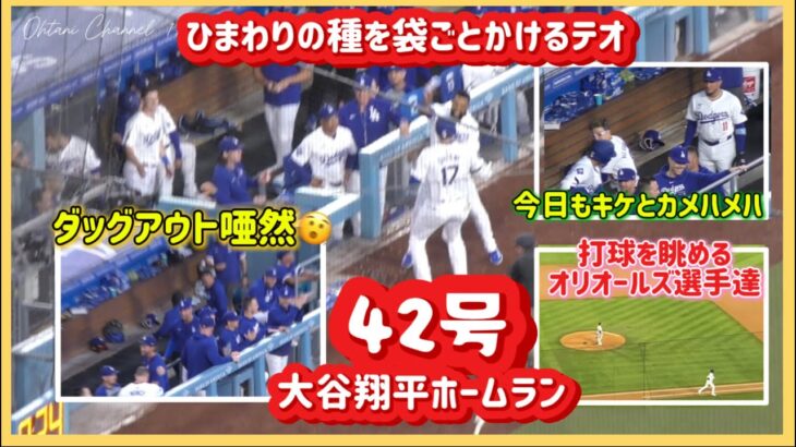 ㊗️大谷翔平42号❗️ダッグアウトあぜん😲打球を眺めるオリオールズの選手達#大谷翔平現地映像 #大谷翔平速報#ohtanishohei#ドジャース