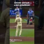 大谷翔平 43本目のホームラン | SHOHEI OHTANI 43RD HOMERUN