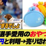 大谷翔平選手愛用のおやつ入れ600円と判明→既に売り切れる事態に【反応集】【野球反応集】【なんJ なんG野球反応】【2ch 5ch】