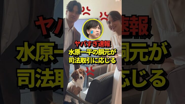 【新展開】大谷翔平の元通訳、水原一平被告の賭博胴元が有罪を認める！顧客は700人以上で、プロやマイナーの選手も含まれていた #shorts #大谷翔平 #野球