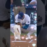 Epic Sports Moments: Shohei Ohtani & More.🐕⚾️💜