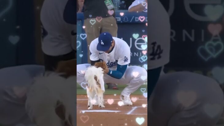 Epic Sports Moments: Shohei Ohtani & More.🐕⚾️💜