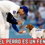 LOCURA EN LA: SHOHEI OHTANI y su perro:  el primer pitcheo del juego en Dodger Stadium| ESPN Beisbol