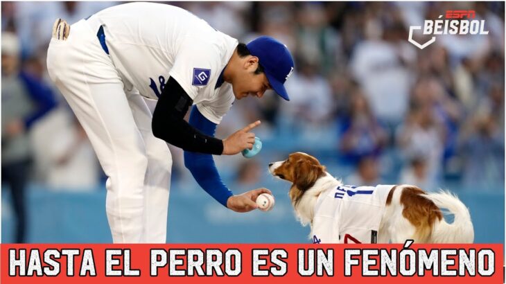 LOCURA EN LA: SHOHEI OHTANI y su perro:  el primer pitcheo del juego en Dodger Stadium| ESPN Beisbol